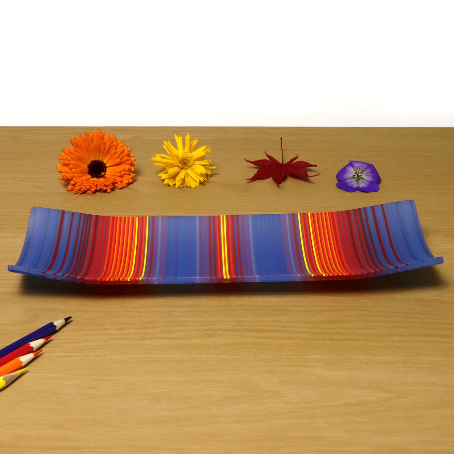 A ColourWave Glass fused glass plate featuring a harmonious blend of blue, red, and yellow stripes. The plate is set on a wooden surface, accompanied by a vivid orange gerbera, a bright yellow daisy, a red maple leaf, and a purple pansy. Coloured pencils in harmonising colours lay below the plate, complementing the striking colour palette and fluid design of the decorative fused glass.