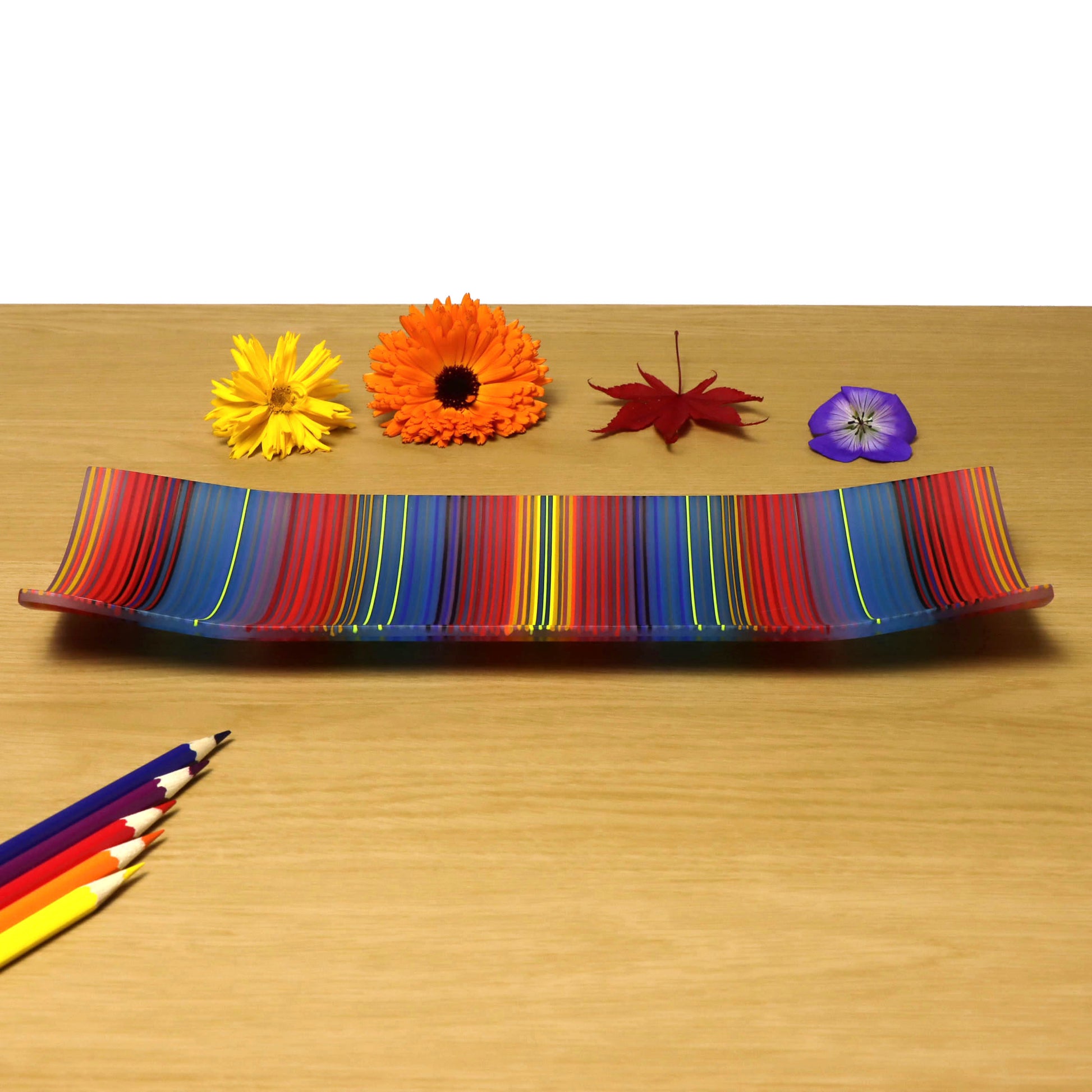 A ColourWave Glass fused glass plate, boasting a vibrant pattern of vertical stripes in a medley of colours including red, blue, yellow, and green. The rectangular plate features a subtle upward curve at each corner, lending an elegant raised edge to its design. The plate is presented on a wooden surface, complemented by a bright orange Gerbera daisy, a red maple leaf, a purple pansy flower, and an assortment of coloured pencils arranged in the foreground.